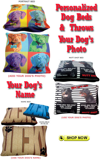 luxury dog beds unique