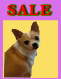 Super Sale