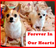 We love you!