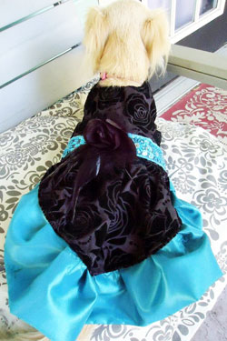 Dresses By Delightful Dog