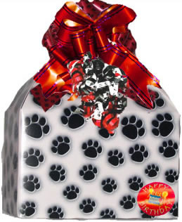 Purrfect Pawty Package