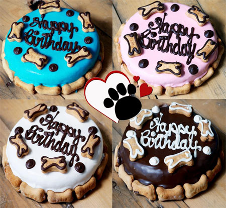 birthday cake for dogs
