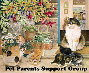 https://www.facebook.com/pages/Pet-Parents-Support-Group/102263226587435
