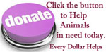 Donate