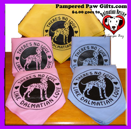 Dal Love Bandana