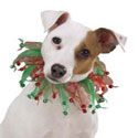 Christmas for Dogs