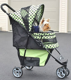 stroller for puppy