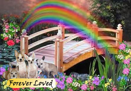In loving memory