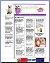 Newsletter