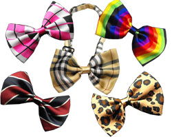Dog Bow Ties and Neck Ties