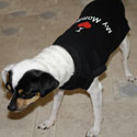Dog Clothing