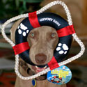 Fun Dog Toys