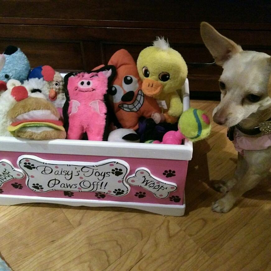 dog toy storage amazon