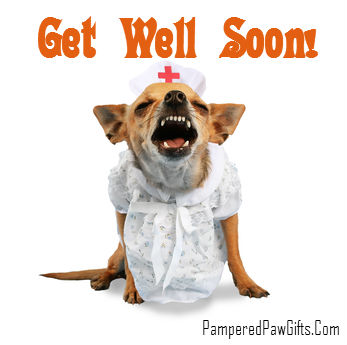 Get Well Gift Baskets For Dogs