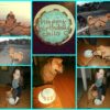 Organic Any Occasion Birthday Cake For Dogs (Blue) - Image 3