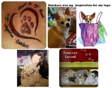 pampered paw gifts original team