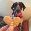 Feel Better YUMMY BASKET Gourmet Dog Treats - Image 3