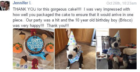 Brisco with a birthday cake from pampered paw gifts