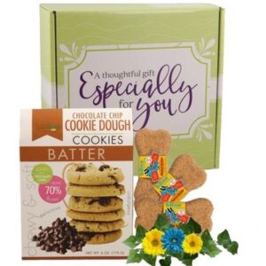 Forever Buddies Care Package Get Well Dog and Human Gift