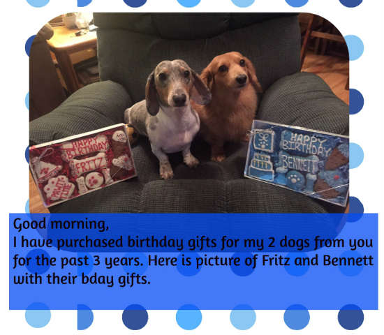 2 beautiful dogs with birthday treats from pampered paw gifts