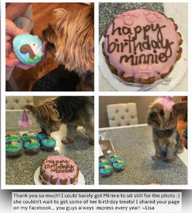 Minnie with a birthday cake from pampered paw gifts