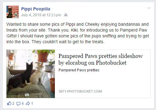 Pippi and Cheeky review of pampered paw gifts treats and bandannas