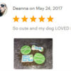 Grain Free Get Well Soon Dog Treat Box - Image 3