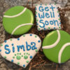 Grain Free Get Well Soon Dog Treat Box