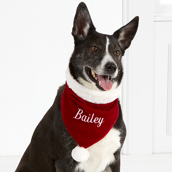 personalized dog bandana | add on dog bandana add on Dear Santa I can explain Christmas quote dog bandana