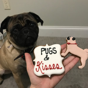 pugs and kisses plush