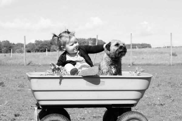 Dog and Child in Wagon