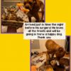 Feel Better YUMMY BASKET Gourmet Dog Treats - Image 2