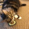 Organic Catnip Avocado Cat Toy - Image 2