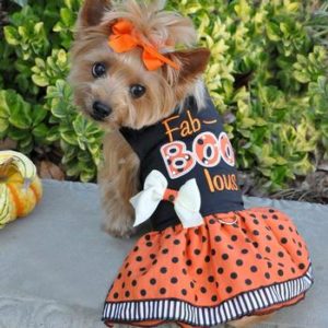 Halloween Dog Dresses