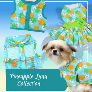 Pineapple Luau Collection