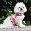 Fabric Dog Harness with Leash - Pink Hawaiian Floral