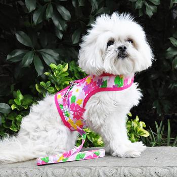 pink dog harness and leash