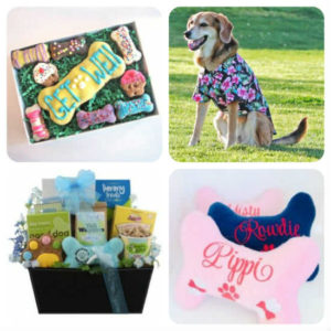 Items For Dogs
