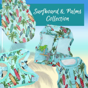 Surfboards and Palms Collection