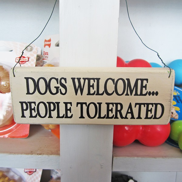 dogs welcome people tolerated pillow