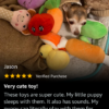 Feel Better Floral Care Package For Dogs - Image 9