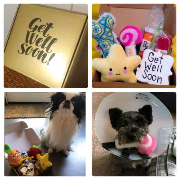 https://pamperedpawgifts.com/ppgwp/wp-content/uploads/2019/06/Get-Well-Care-Package-For-Dogs-600x600.jpg