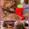 Feel Better Floral Care Package For Dogs - Image 5
