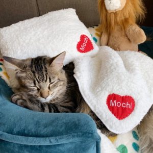 Luxury Valentines Day Pet Blankets