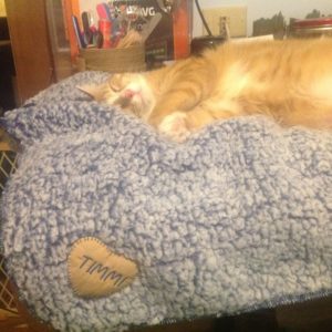Luxury Cat Blankets & Matching Pillows