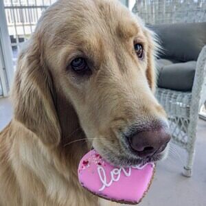 Valentines Day Dog Treats