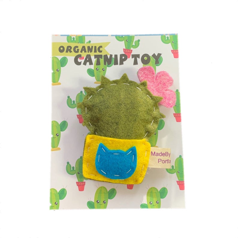 Organic Catnip Cactus Cat Toy Pampered Paw Gifts