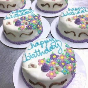 Fast Shipping Dog Birthday Cakes