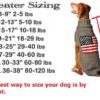 Black Skull Sweater For Dogs - Image 2