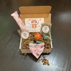 Cat Gifts